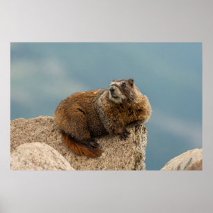 USA, Colorado, San Juan Mountains 2 Poster