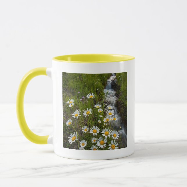 USA, Colorado, San Juan Mountains. Daisies Mug (Left)