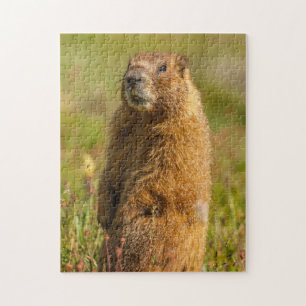 USA, Colorado, San Juan Mountains Jigsaw Puzzle