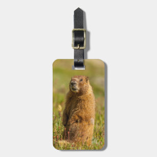 USA, Colorado, San Juan Mountains Luggage Tag