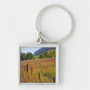USA, Colorado, San Juan National Forest, along Key Ring