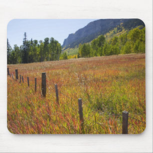 USA, Colorado, San Juan National Forest, along Mouse Pad
