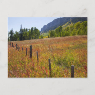 USA, Colorado, San Juan National Forest, along Postcard