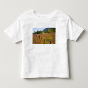USA, Colorado, San Juan National Forest, along Toddler T-Shirt