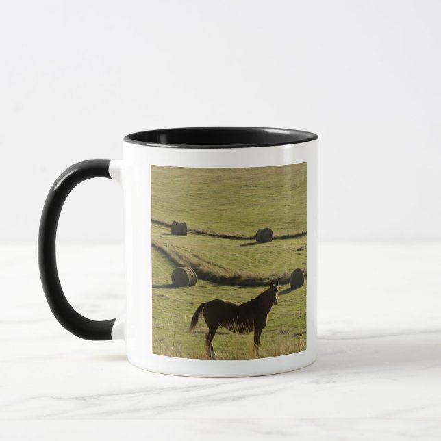 USA, Colorado, Steamboat Springs, hay rolls and Mug (Left)