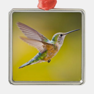 USA, Colorado, Summit County, Heeney. Side view Metal Ornament