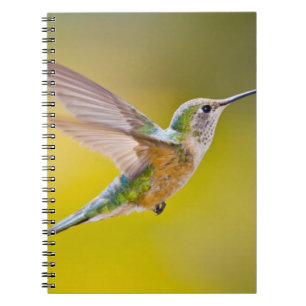 USA, Colorado, Summit County, Heeney. Side view Notebook