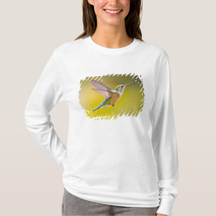 USA, Colorado, Summit County, Heeney. Side view T-Shirt