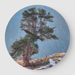 USA, Colorado, Tree In Estes Park Large Clock
