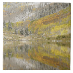USA, Colorado, White River National Forest, 2 Ceramic Tile