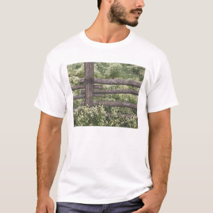 USA, Colorado, Wild Chamomile around log fence T-Shirt