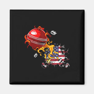 Usa Cricket  Magnet