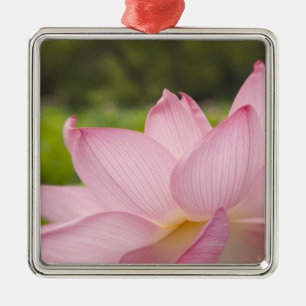 USA, DC, Washington, Kenilworth Aquatic 2 Metal Ornament