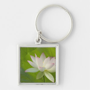 USA, DC, Washington, Kenilworth Aquatic Key Ring