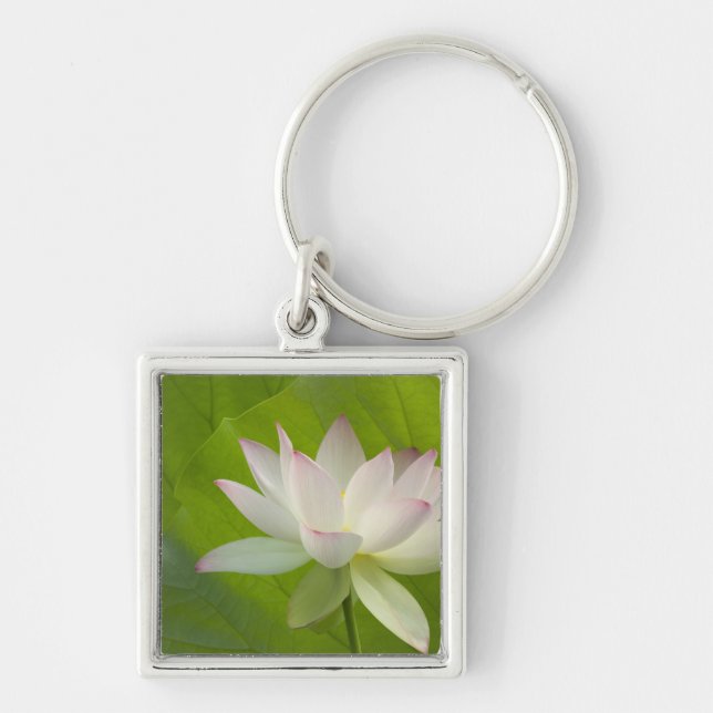 USA, DC, Washington, Kenilworth Aquatic Key Ring (Front)