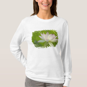 USA, DC, Washington, Kenilworth Aquatic T-Shirt