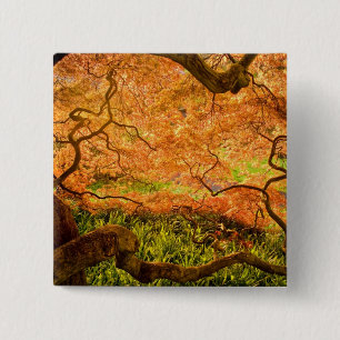 USA, Delaware, Wilmington. Japanese maple 15 Cm Square Badge