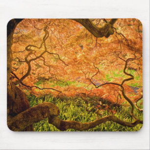 USA, Delaware, Wilmington. Japanese maple Mouse Pad