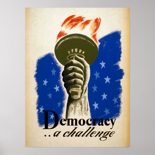 USA Democracy Unedited Vintage Photos Old Aesthet  Poster (Front)