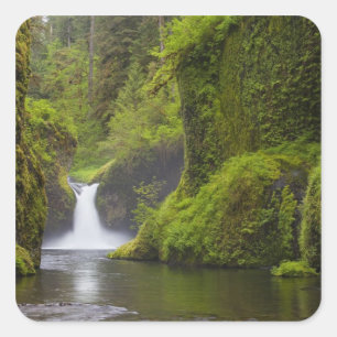 USA, Eagle Creek, Columbia Gorge, Oregon. 3 Square Sticker