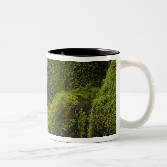 USA, Eagle Creek, Columbia Gorge, Oregon. 3 Two-Tone Coffee Mug (Right)