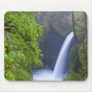 USA, Eagle Creek, Columbia Gorge, Oregon. Mouse Pad