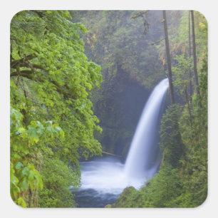USA, Eagle Creek, Columbia Gorge, Oregon. Square Sticker