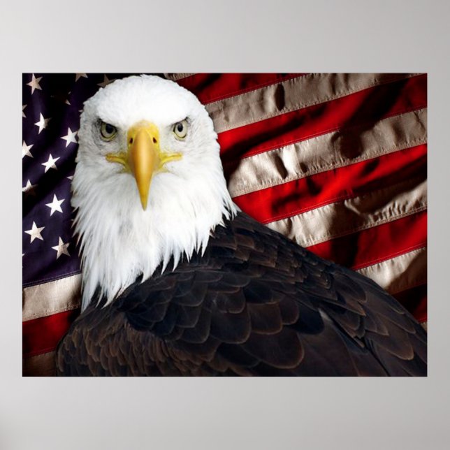 USA Eagle Patriotic Poster (Front)