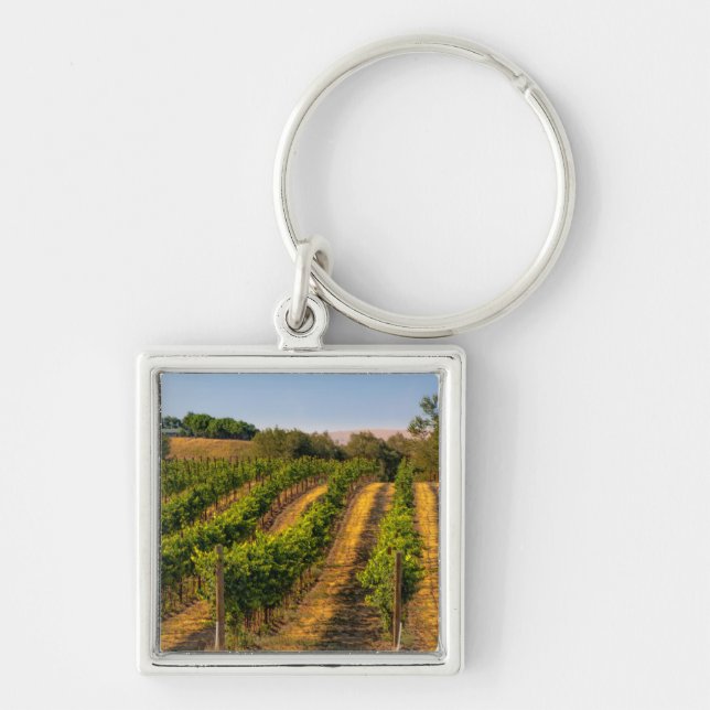 USA, Eastern Washington, Walla Walla Vineyards Key Ring (Front)