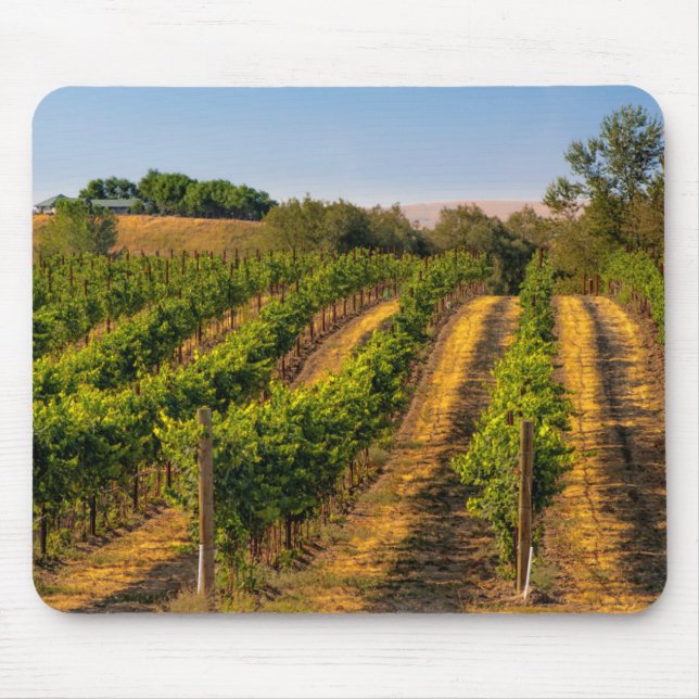 USA, Eastern Washington, Walla Walla Vineyards Mouse Pad (Front)