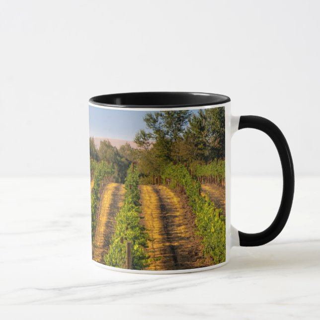 USA, Eastern Washington, Walla Walla Vineyards Mug (Right)