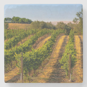 USA, Eastern Washington, Walla Walla Vineyards Stone Coaster
