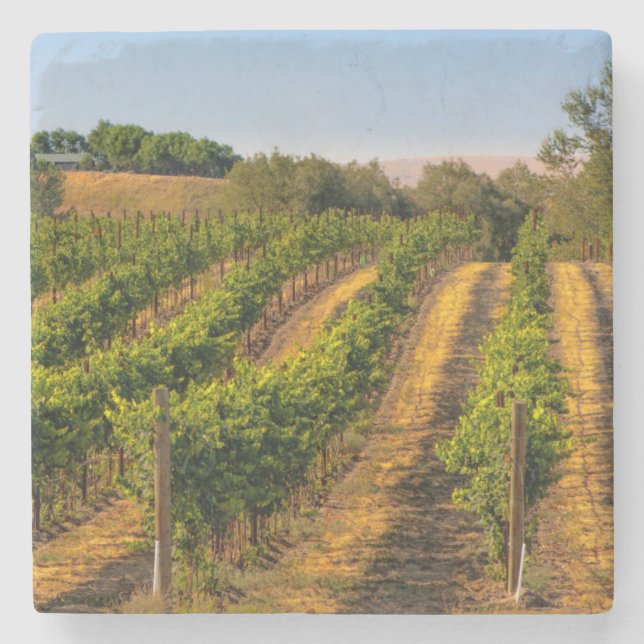 USA, Eastern Washington, Walla Walla Vineyards Stone Coaster (Front)