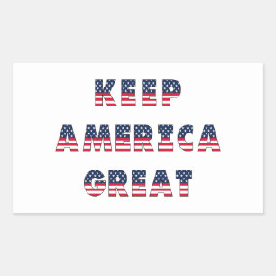 USA Elections Party Collection! Rectangular Sticker