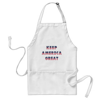 USA Elections Party Collection! Standard Apron
