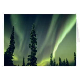 USA, Fairbanks area, Central Alaska, Aurora