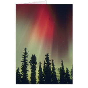 USA, Fairbanks area, Central Alaska, Aurora