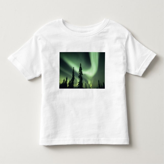 USA, Fairbanks area, Central Alaska, Aurora 2 Toddler T-Shirt (Front)