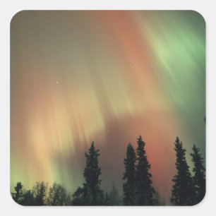 USA, Fairbanks area, Central Alaska, Aurora 3 Square Sticker