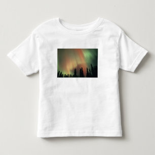 USA, Fairbanks area, Central Alaska, Aurora 3 Toddler T-Shirt