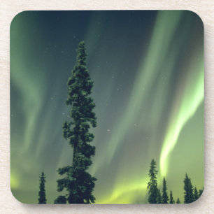 USA, Fairbanks area, Central Alaska, Aurora Coaster