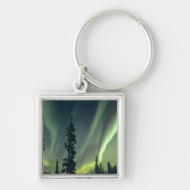 USA, Fairbanks area, Central Alaska, Aurora Key Ring (Front)