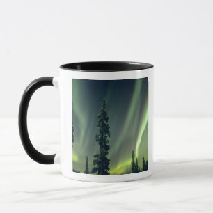 USA, Fairbanks area, Central Alaska, Aurora Mug