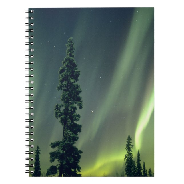 USA, Fairbanks area, Central Alaska, Aurora Notebook (Front)