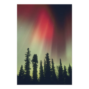 USA, Fairbanks area, Central Alaska, Aurora Photo Print