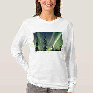 USA, Fairbanks area, Central Alaska, Aurora T-Shirt