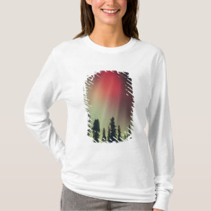 USA, Fairbanks area, Central Alaska, Aurora T-Shirt
