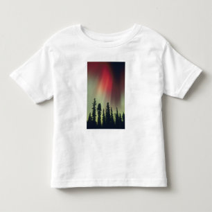 USA, Fairbanks area, Central Alaska, Aurora Toddler T-Shirt