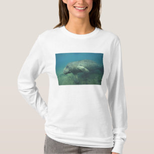 USA, FL, Manatee T-Shirt