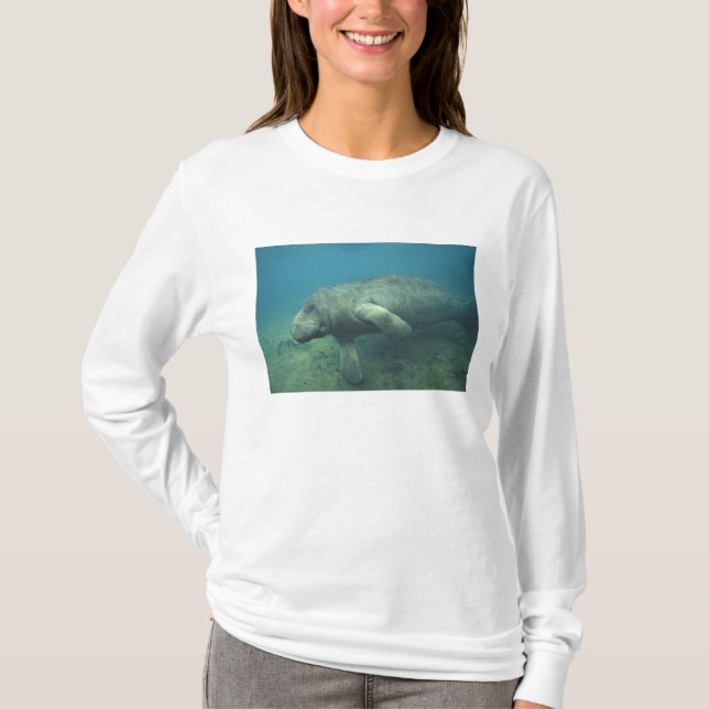 USA, FL, Manatee T-Shirt (Front)